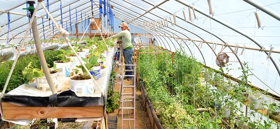 Hood River’s Community Supported Agriculture enterprises thrive as they connect farms and homes