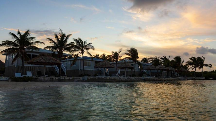 belize yahoo 861A0773 (Custom)