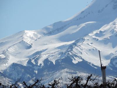 Storms lend decent Mt. Hood snowpack gain