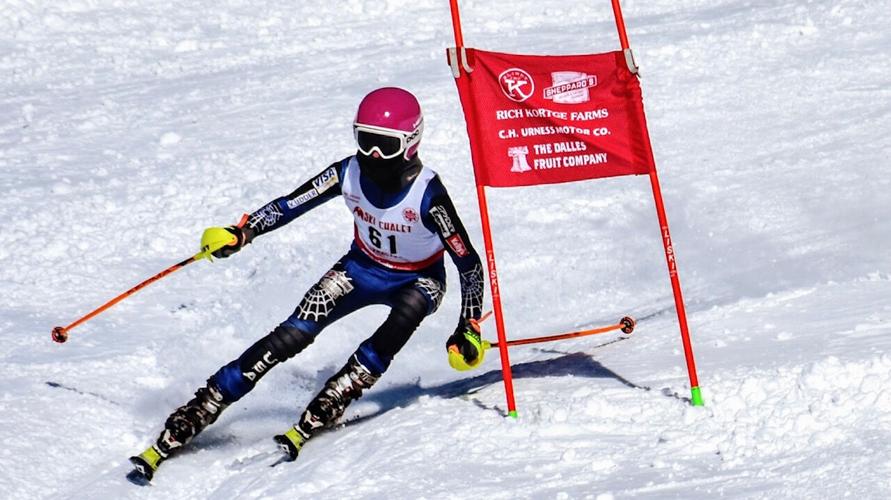 Grey Rochesender.jpg