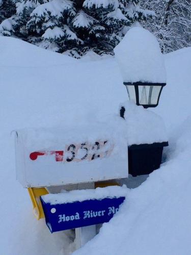 Readers’ photos say, ‘Happy mid-winter, wherever you are!’