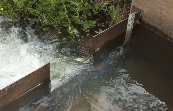 Ditch Walker: Water is gold, here