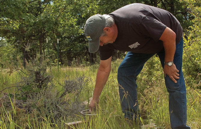 Ditch Walker: Water is gold, here