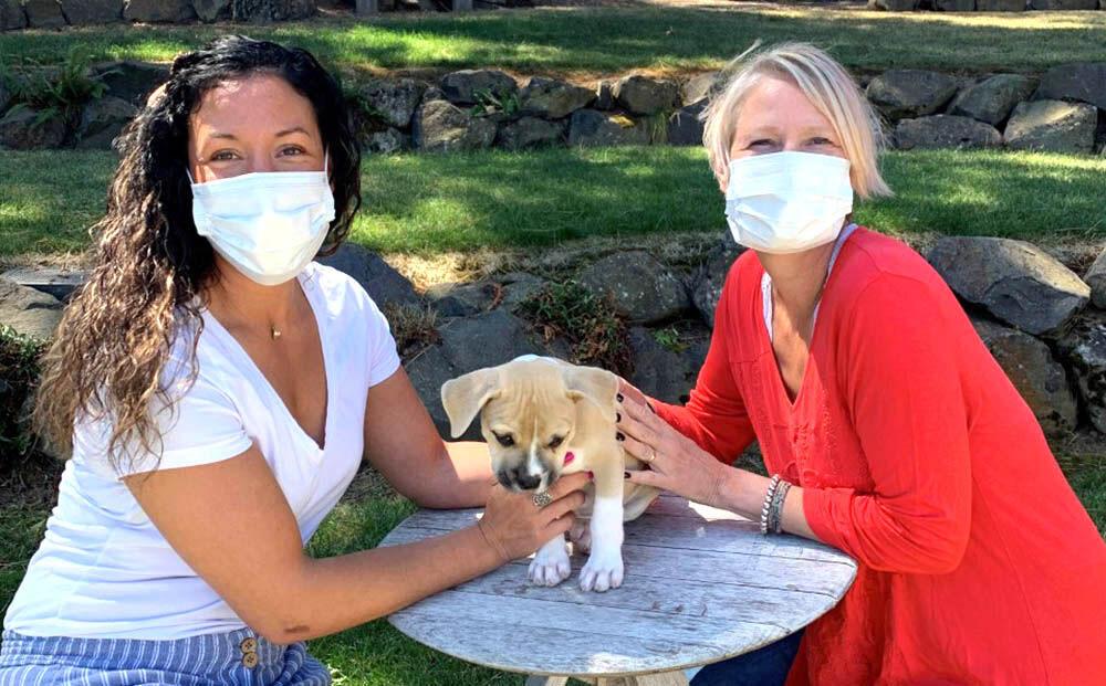 Funeral homes update policies as state mandates change ...