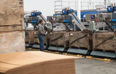 Cherry market is the pits