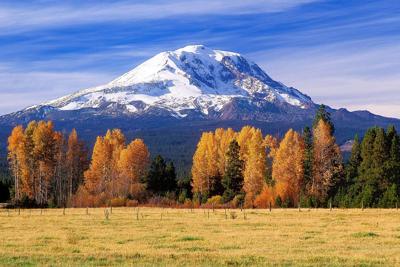 Remembering the Forgotten Giant