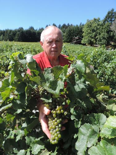 In the ‘sweet spot’ for growing fruit, Anne and Bernie Lerch enjoy staying small but diverse