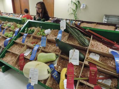 A10 bounty veggies.JPG