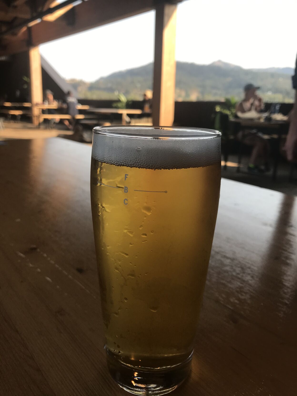 11-4 the ale list ferment, kellerbier on the deck.JPG