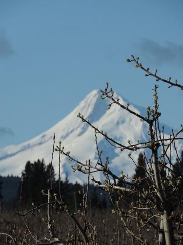 A1 cider, crafts, quilts vertical.JPG