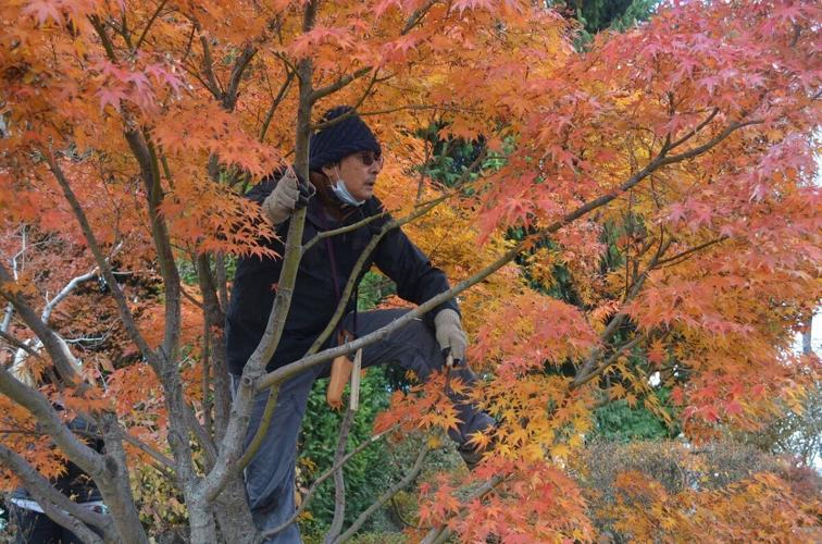 12-2 OR Master Gardeners PHOTO 2 (1).jpg