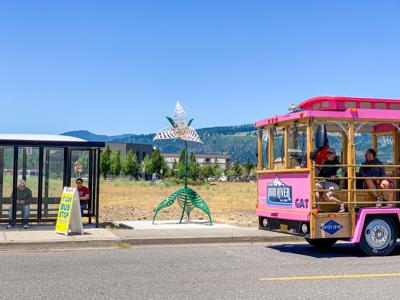 A1 pink trolley and trilium.jpg