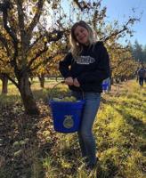 The Counties’ Bounty: Drive Away Hunger campaign looks out for those in need