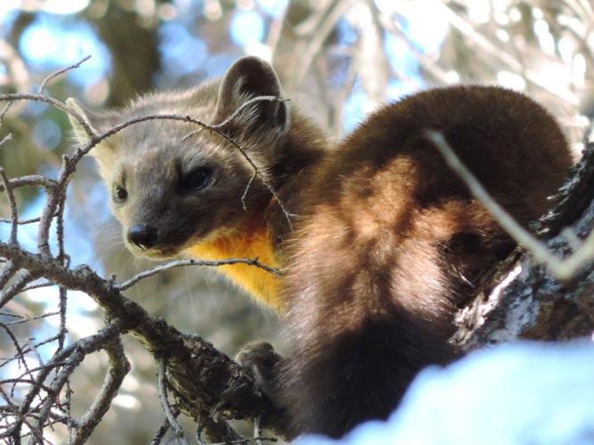 Hood River County Reads celebrates its 10th anniversary — 11 years in