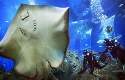 World Briefs for May 21