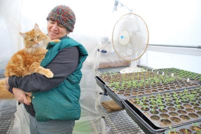 In its 17th season, Rattlesnake Plants melds experience and learning