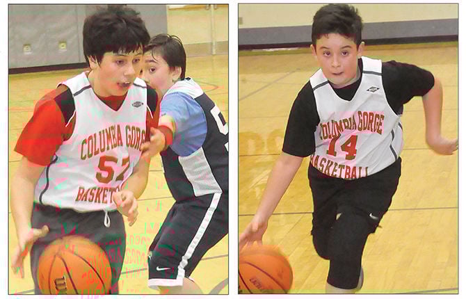 Hoops Academy brings in big numbers