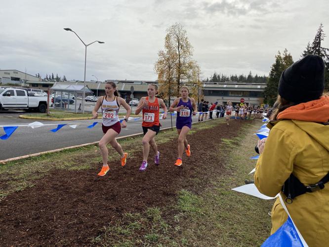 Cross Country at State