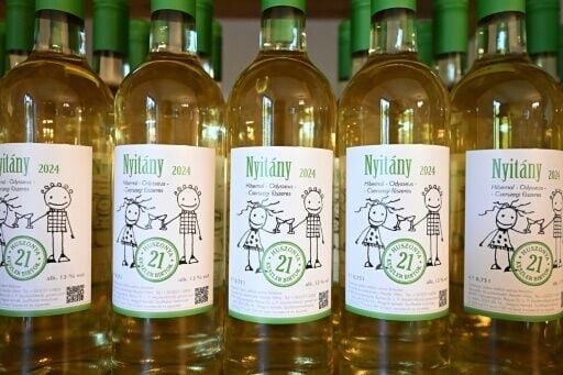 The government has allocated millions of euros to detect and protect against the disease's spread