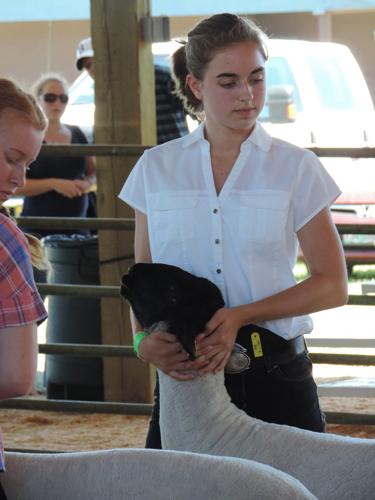 2016 Hood River County Fair, 4-H results