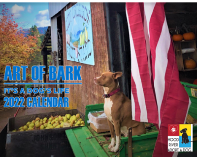 Art of Bark 2022 calendar