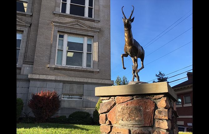Thieves steal county plaque