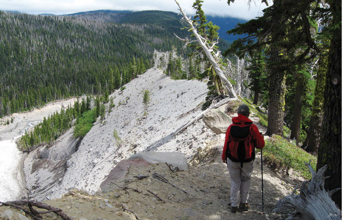 Newton Creek moraine: a secluded treasure