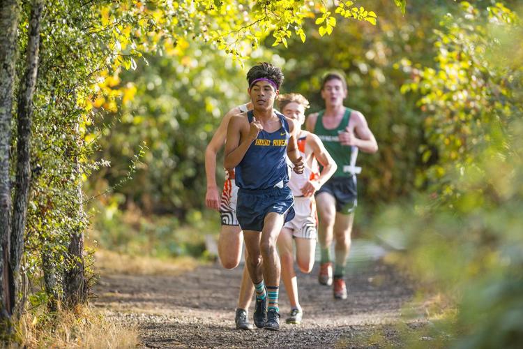 XC: personal records go down