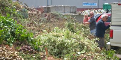 Free yard debris day faces limits