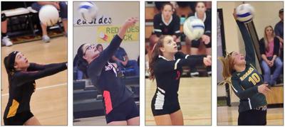 Volleyball roundup