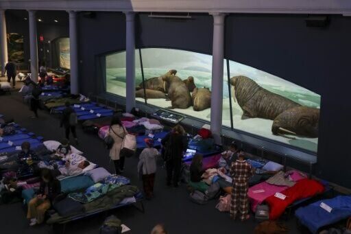 Visitors set up camp for a sleepover at the American Museum of Natural History in New York City