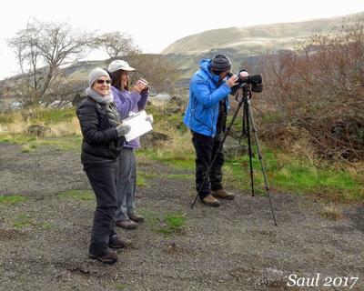 Christmas Bird Count 2022