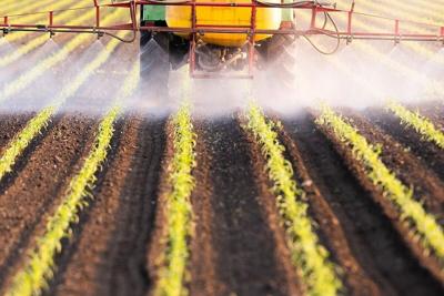 Pesticides Endanger People's Good Gut Microbes