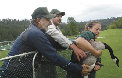 Critter specialist heads into retirement