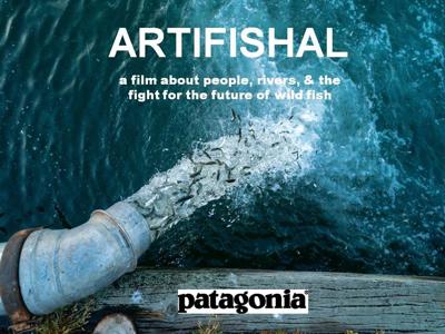 A9 Aug 14 Artifishal screening.jpg