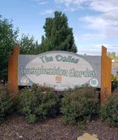 Saturday morning gardening series resumes