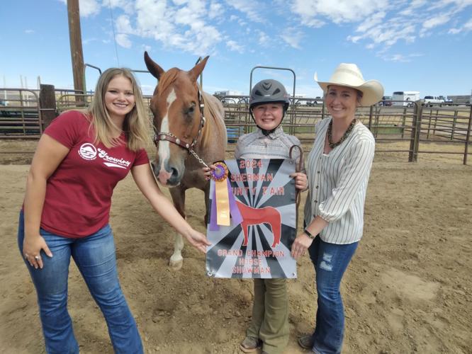 GrCh Horse Showman Harper Johnson.jpg