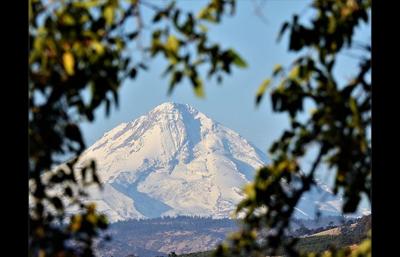 Mountain Majesty