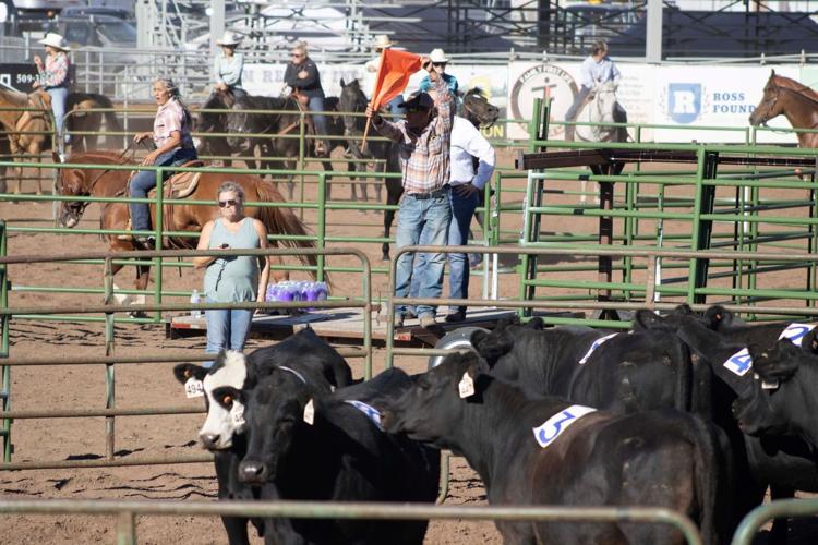 Klickitat County Fair and Rodeo