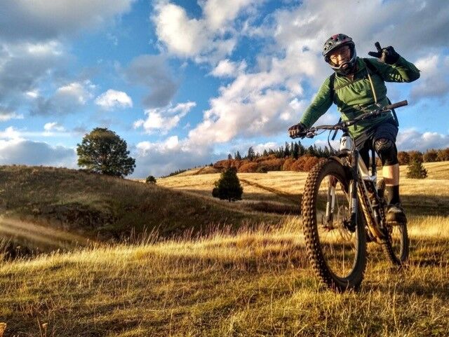 William (Bill) Ernst