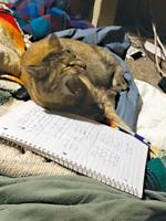 Newsworthy pets: Fuzzhead a biology genius