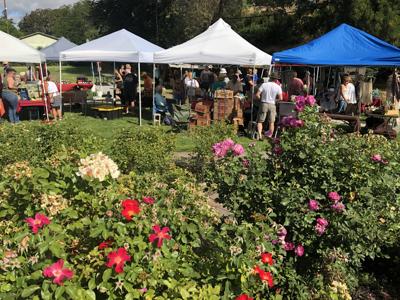 A1-Farmers Market-IMG_1692.jpg