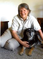 Sterling effort for dogs