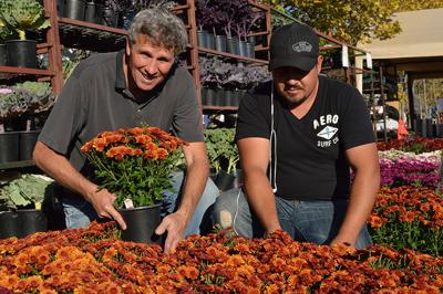 Harvest Fest Weekend Sampler 2013