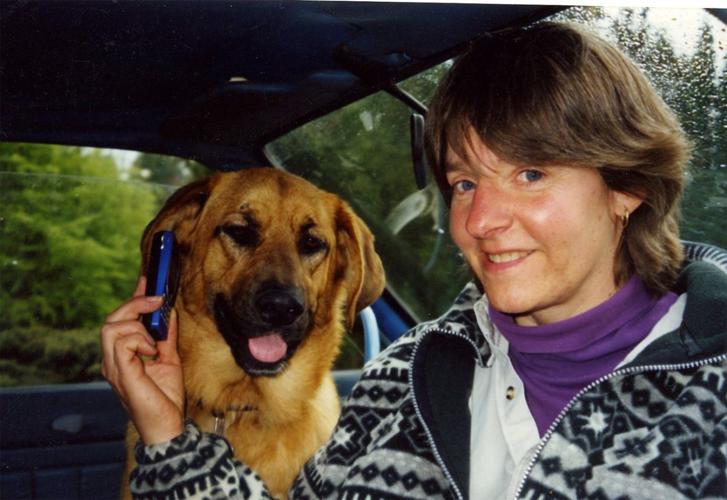 Sterling effort for dogs