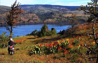 Memaloose Hills a favorite hike