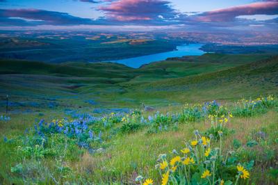 Columbia Insight award 2022