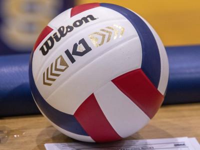 Volleyball FILE 2024