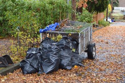 HR leaf cleanup.jpg