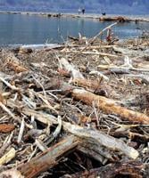 Hood's leftovers add projects to Port's list